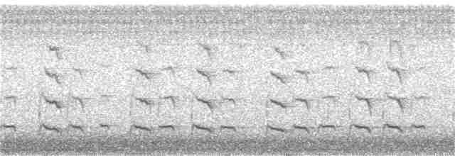 Дятел-смоктун сосновий - ML248771701