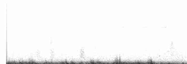 ボナパルトカモメ - ML248783581