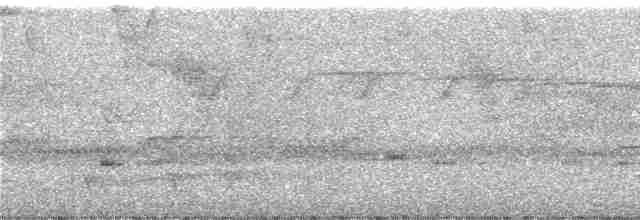 Citrine Warbler (Northern) - ML248794