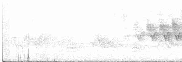 Cerulean Warbler - ML248798881