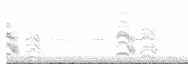 Common Tern - ML248813771