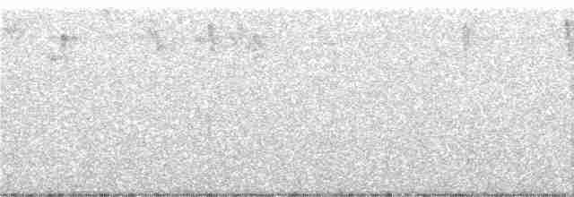 Citrine Warbler (Northern) - ML248828