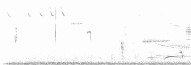 Eastern Meadowlark - ML248843681