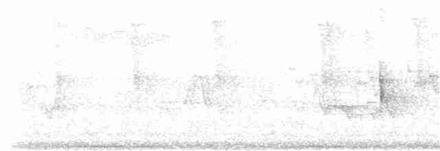 Чернокрылая пиранга - ML248855741