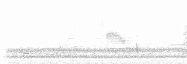 Дрізд-короткодзьоб плямистоволий - ML248864811