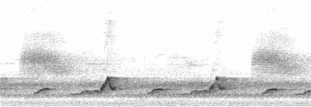 Schwarzkehl-Nachtschwalbe - ML248866201