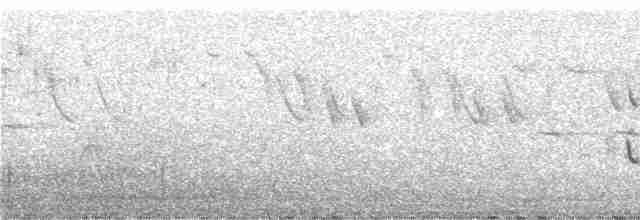 Western Orphean Warbler - ML248909