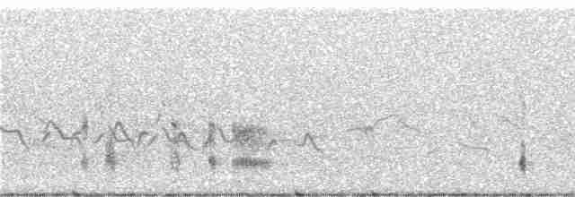 Red-legged Partridge - ML248925