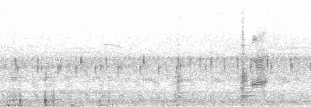 Папуга-довгокрил бурошиїй (підвид suahelicus) - ML24894
