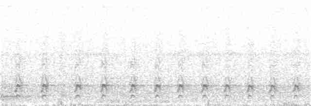 hvitbrynsvartspett - ML248952361