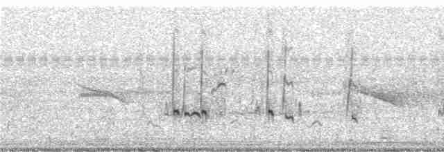 Желтоклювый чирок (flavirostris) - ML248976