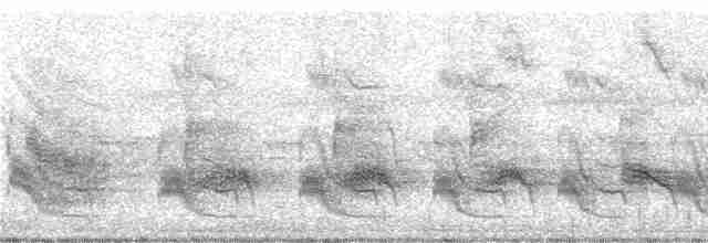 Качолота чорночуба - ML248984