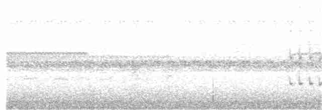 Russet-crowned Crake - ML248984121