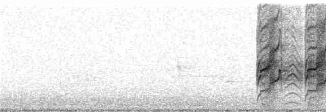 Дереволаз-шабледзьоб - ML248992