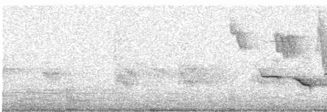 Chiguanco Thrush (anthracinus) - ML248994