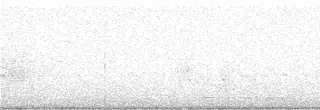 Дереволаз-шабледзьоб - ML248995