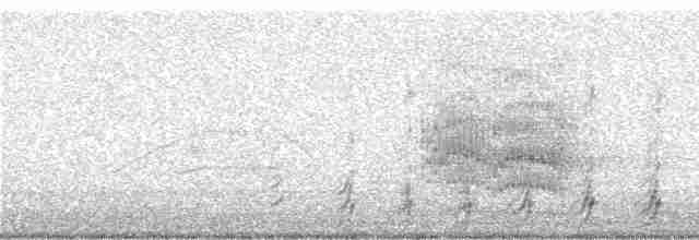 Качолота чорночуба - ML248998