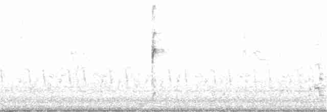 Western Grebe - ML249002811