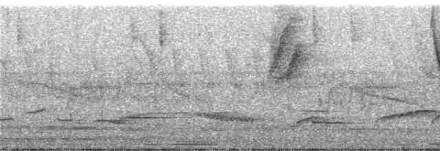 hvitvingekjerrspurv (leucopterus/dresseri) - ML249016