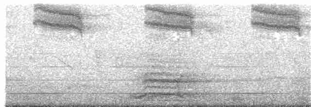 Gözlüklü Drongo Sinekkapanı - ML249018481