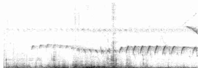 Bandgrasmücke - ML249020181
