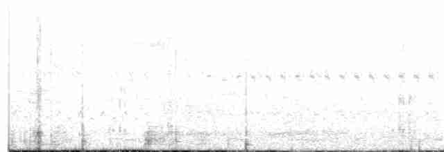 vousáček bělohlavý (ssp. senex) - ML249020971