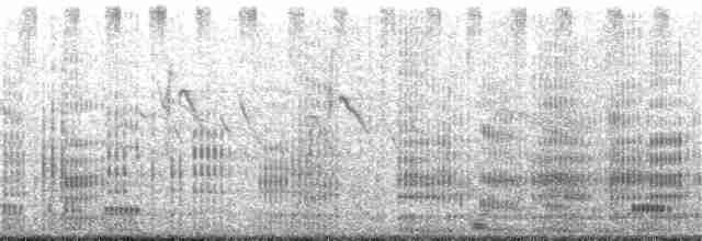 Neotropic Cormorant - ML249030001