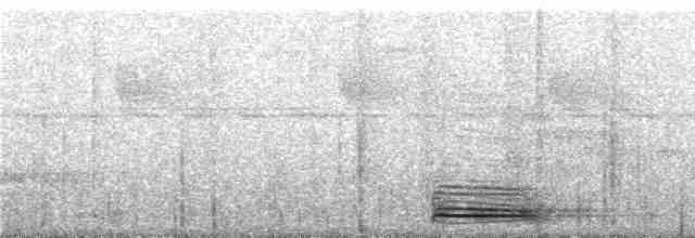 Koca Başlı Motmot [platyrhynchum grubu] - ML249100