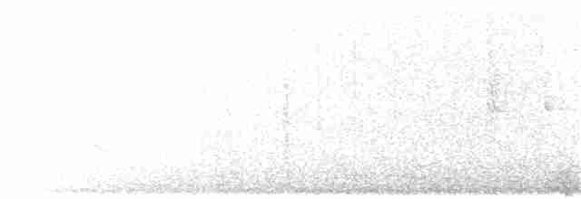 Патагонский мухолов - ML249121501