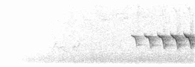 キヅタアメリカムシクイ（coronata） - ML249131341