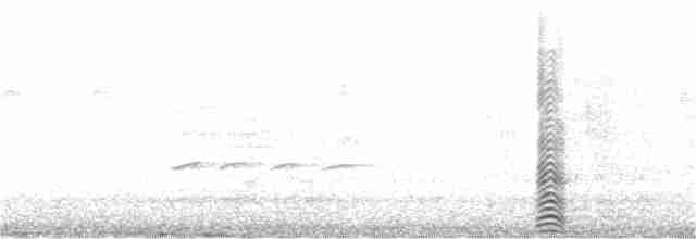 Gaviota de Tasmania - ML249152861