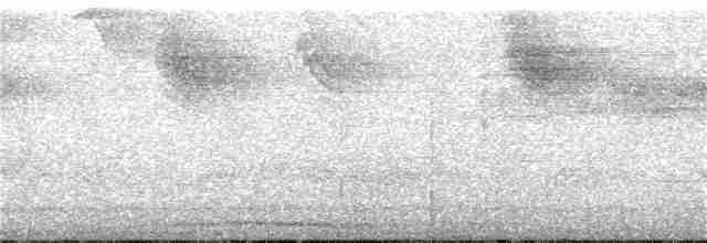 Gray-headed Kite - ML249153821