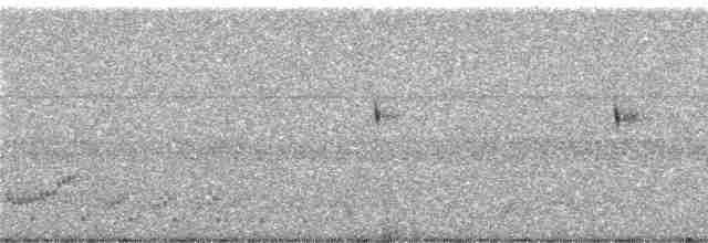 Scissor-tailed Nightjar - ML249186