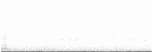White-eyed Vireo - ML249224541