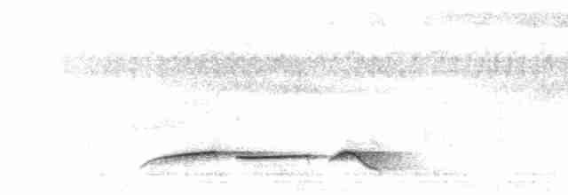 Large Wren-Babbler - ML249225441