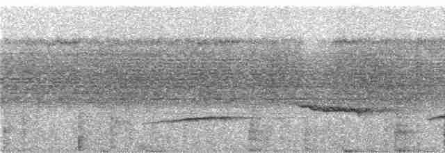 White-throated Thrush (Dagua) - ML249227