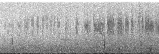 rorýs bělobradý - ML249231