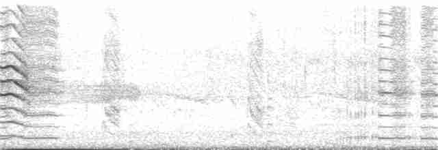 Common Gallinule - ML249231151