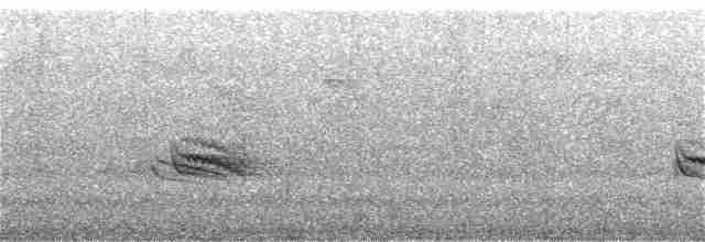 Пестрогорлая юхина - ML249261681