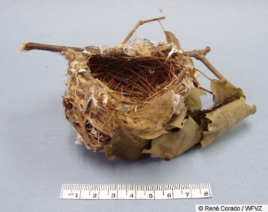  VOSAREA Simulated Bird Nest Breeding Eggs Outdoor Bird