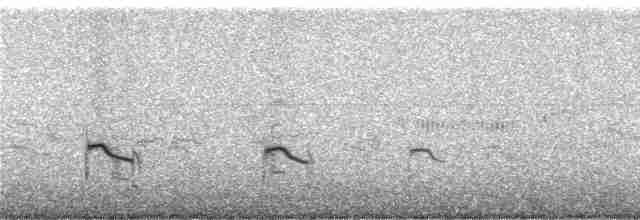 Flussregenpfeifer (curonicus) - ML249272