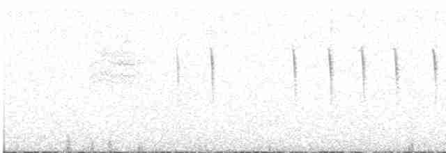 Black-tailed Gnatcatcher - ML249276131