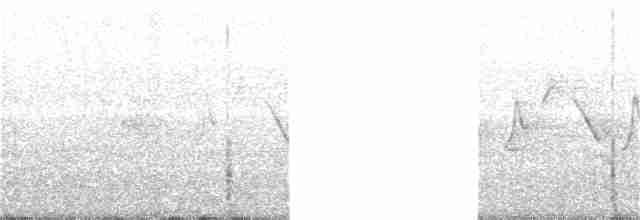 Common Gallinule - ML249285041