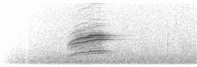 Münzevi Bülbül Ardıcı - ML249292101