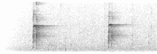 Pic chevelu (groupe villosus) - ML249298911