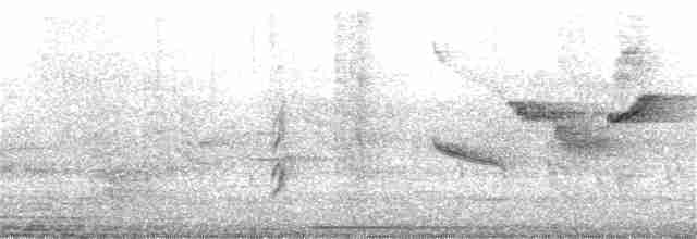 Daurian Redstart - ML249306401