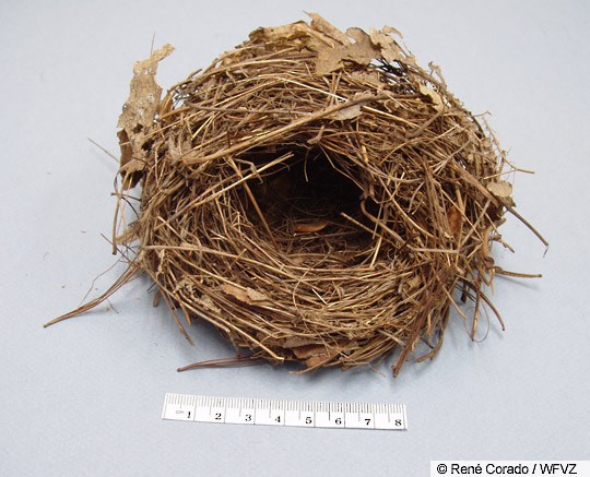  VOSAREA Simulated Bird Nest Breeding Eggs Outdoor Bird