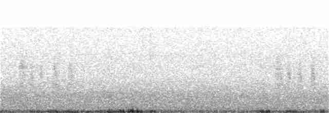 Antillennachtschwalbe - ML249347211