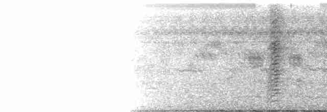 白胸燕鵙 - ML249359761