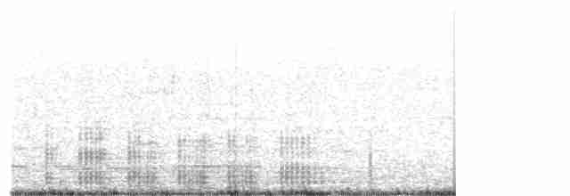 Пелікан австралійський - ML249360161
